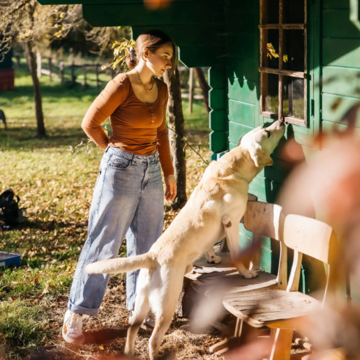 Meike Corsmann Scouting Dogs beim Hundetraining